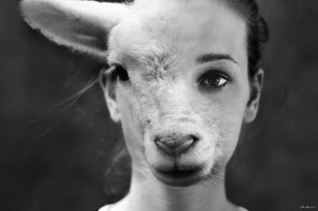 Женщина с лицом овцы