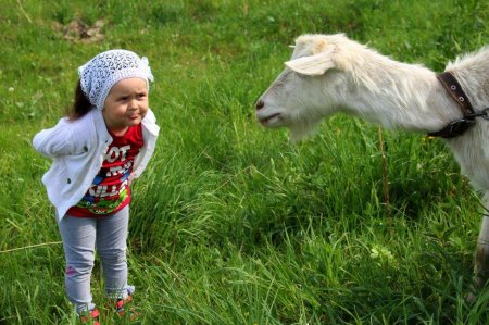 Коза девочка