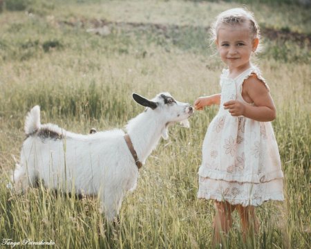 Девочка с козленком