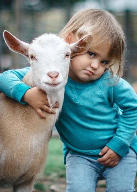 Козье молоко