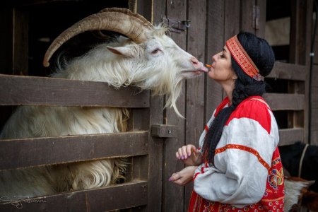 Любовь зла полюбишь и козла фильм