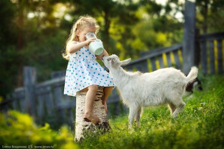 Экоферма козье молоко