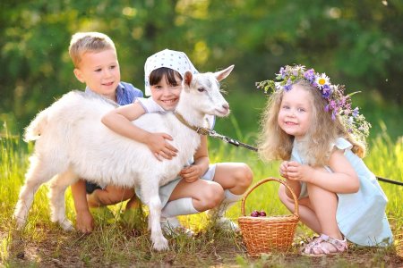 Дети в деревне летом