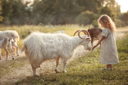 Фотосессия с козленком