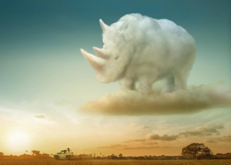 Облака в виде животных