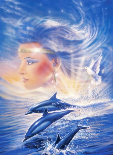 Море дельфины