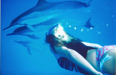 Дельфины марса алам