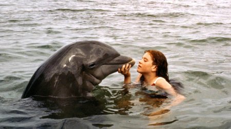 Дельфин с человеком