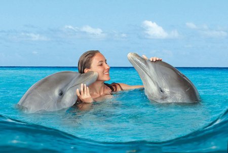 Девушка плавает с дельфинами