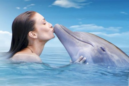 Девушка и дельфин
