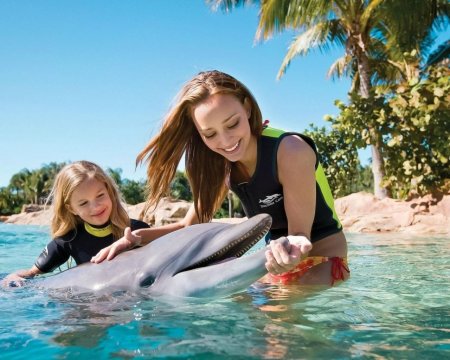 Плавать с дельфинами