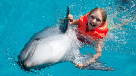 Купание с дельфинами