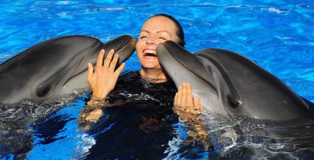 Плавание с дельфинами в долфин планет