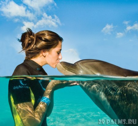 Девушка с дельфином