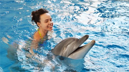 Дельфинарий новосибирск плавание с дельфинами