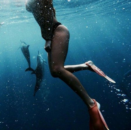Девушка с дельфинами под водой
