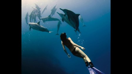 Девушка с дельфином