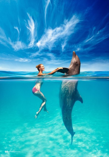 Девушка и дельфин