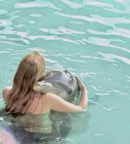 Дельфин черноморская афалина