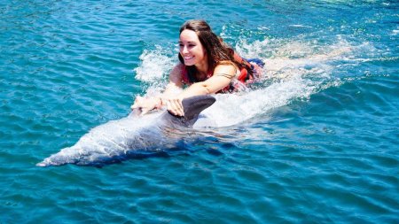 Девушка плавает с дельфинами