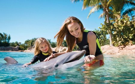 Дельфины для детей