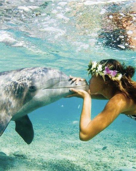 Девушка с дельфином