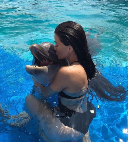 Купание с дельфинами