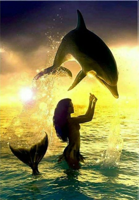 Красивые дельфины