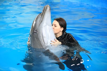 Плавание с дельфинами в долфин планет