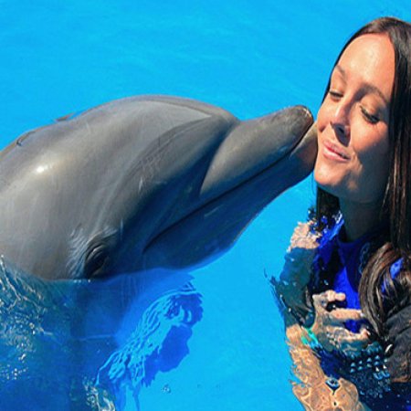 Девушка с дельфином