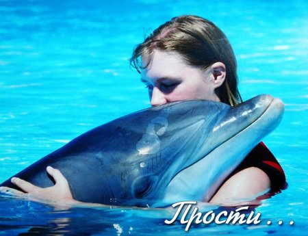 Девушка с дельфином
