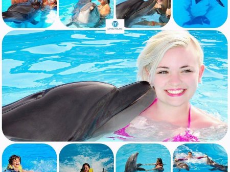 Дельфинарий сочи плавание с дельфинами
