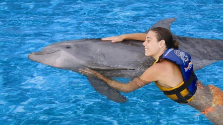 Дельфинарий пунта кана