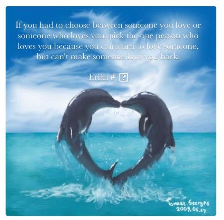 Влюбленные дельфины