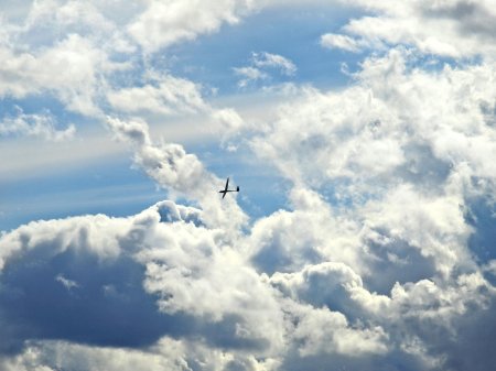 Птицам небо