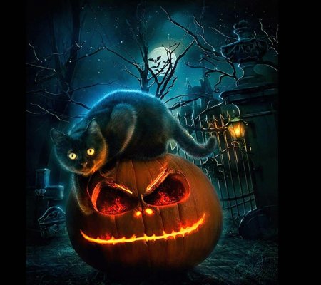 Кот хэллоуин