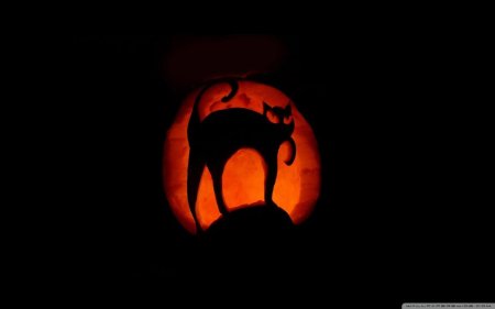 Обои на телефон хэллоуин