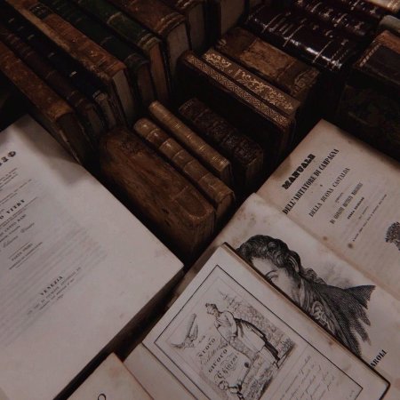 Литература эстетика