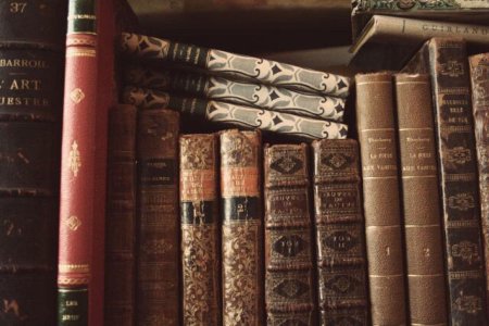 Западноевропейская литература 19 века