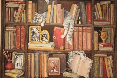 Галина егоренкова иллюстрации книжный шкаф