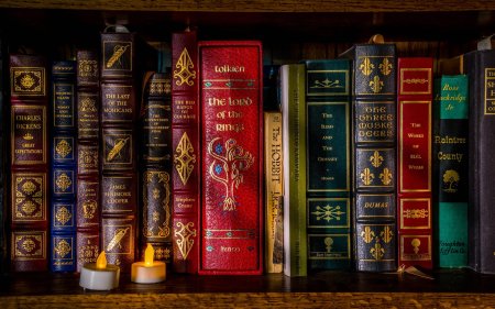 Книжная полка