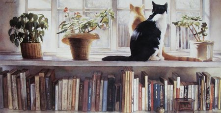 Стив хэнкс кошка акварель