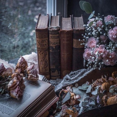 Книжная эстетика