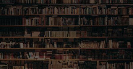 Книжная полка