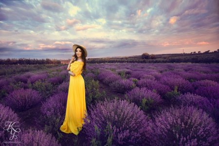 Анастасия морева лавандовое поле
