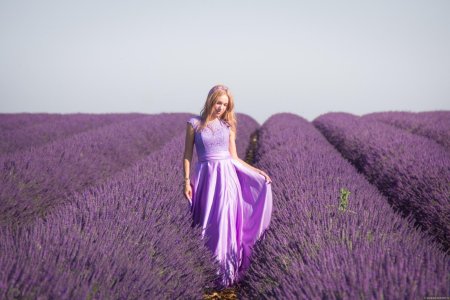 Крым лавандовое поле