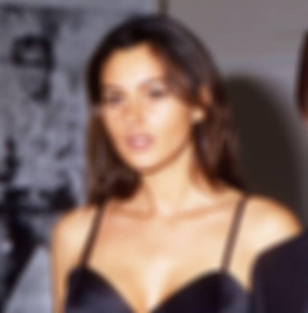 Ален делон и моника белуччи