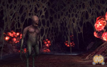 Безымянные твари мории