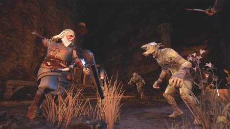 The lord of the rings: return to moria игра