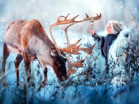 Олени зимой